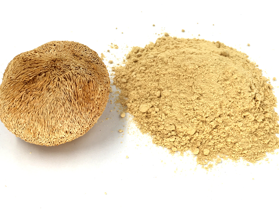 猴头菇粉Dried lions mane powder